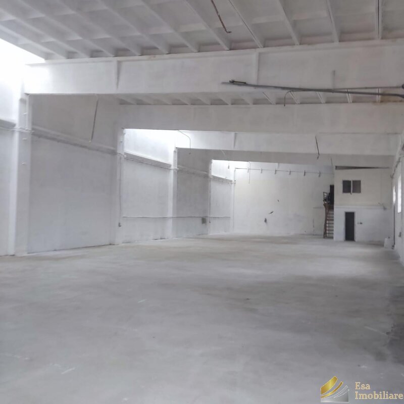 Chitila, DNCB, Rudeni,