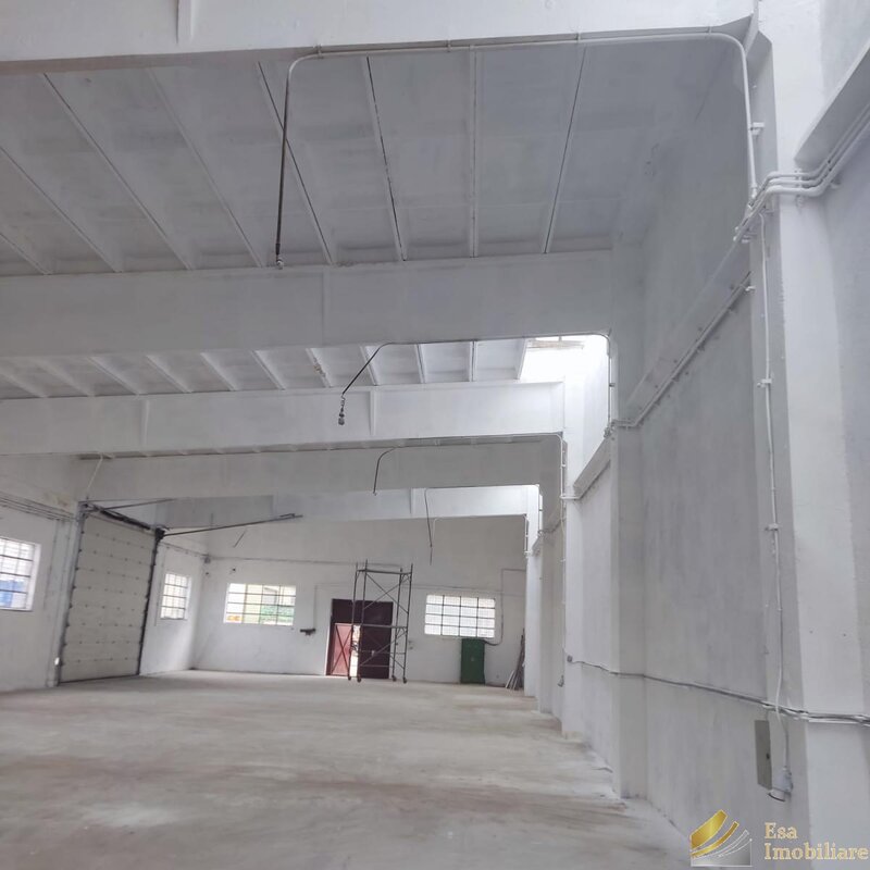 Chitila, DNCB, Rudeni,