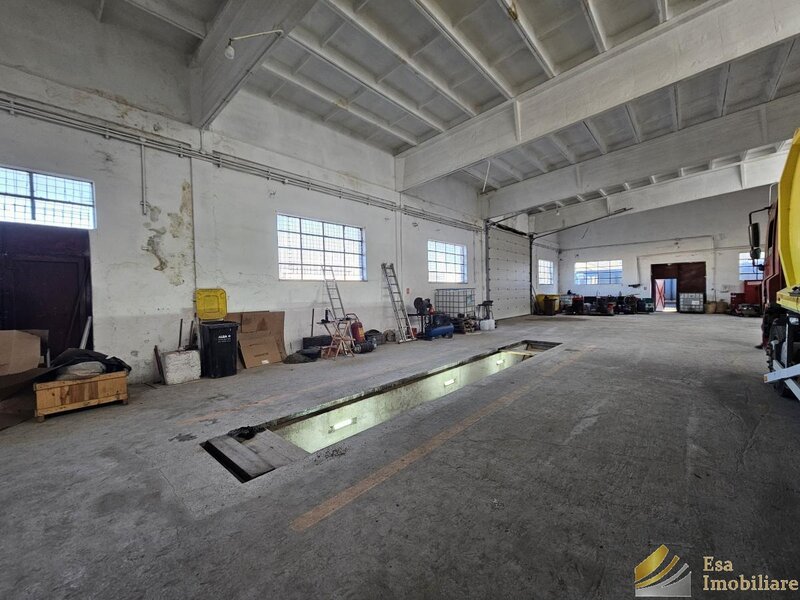 Chitila, DNCB, Rudeni,